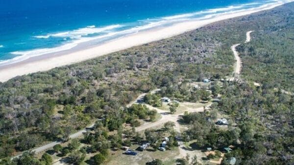 Shark Attack at Crowdy Bay: Woman Killed, Man Seriously Injured 86ddb186425acfd707e6e67c18586ae260bda15b 16x9 x0y0w748h421