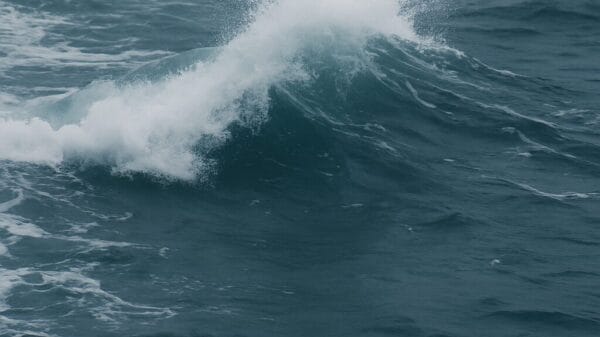 ChatGPT Image Nov 10 2025 01 07 10 PM