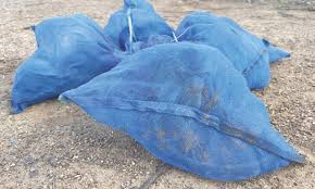 Thai Rangers Seize 81 Monkeys and Meth in Smuggling Operation Near Border WXj SYPUGRadtLCKw6yLMmxwDjVHrziyD LXSzjixmxDL9d5zGJfUj4toV4H2yWjNKuPyLnVkiyke27t99yTPUR1mPl8i