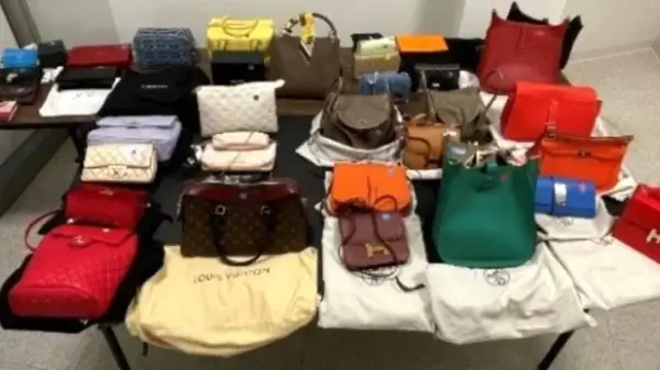 Luxury Burglary in Bronx: Over $550K in Designer Goods and Cash Stolen from Apartment PURSE 1