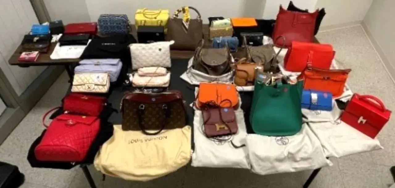 Luxury Burglary in Bronx: Over $550K in Designer Goods and Cash Stolen from Apartment PURSE 1