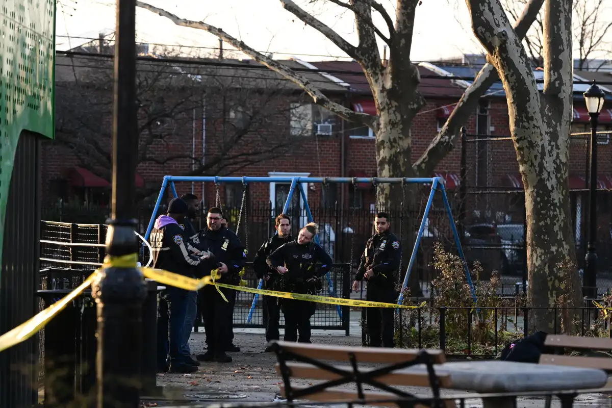 12-Year-Old Boy Seriously Injured in Brooklyn Playground Stabbing brooklyn stabbing lloyd mitchell 12182025 3