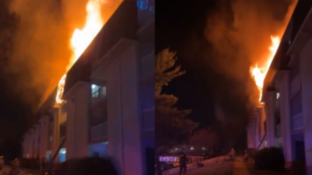 Maryland Man Arrested After Allegedly Throwing Dog From Balcony and Igniting Apartment Fire laurel apartment fire displaces 19 families emergency crews from three counties respond to blaze 2