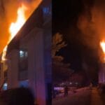 Maryland Man Arrested After Allegedly Throwing Dog From Balcony and Igniting Apartment Fire laurel apartment fire displaces 19 families emergency crews from three counties respond to blaze 2