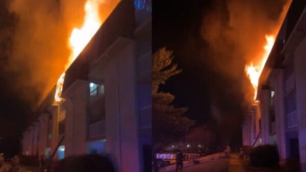 Maryland Man Arrested After Allegedly Throwing Dog From Balcony and Igniting Apartment Fire laurel apartment fire displaces 19 families emergency crews from three counties respond to blaze 2