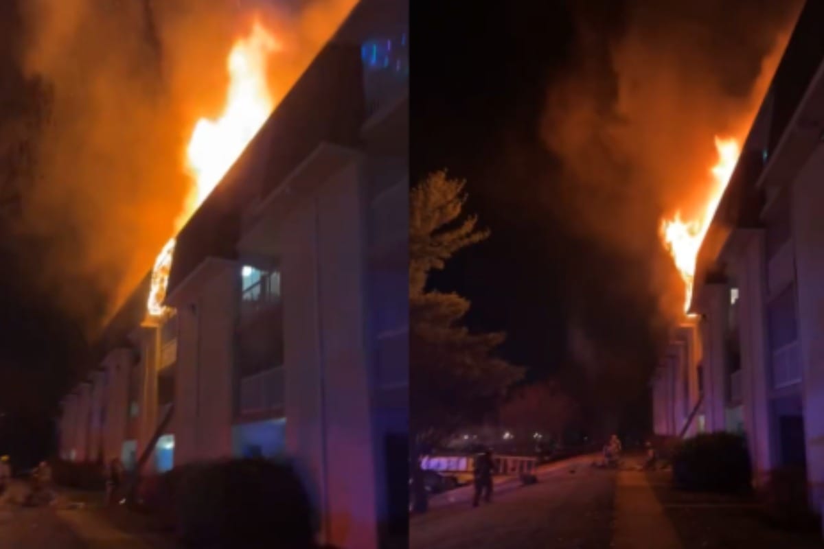 Maryland Man Arrested After Allegedly Throwing Dog From Balcony and Igniting Apartment Fire laurel apartment fire displaces 19 families emergency crews from three counties respond to blaze 2