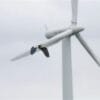 Trump Faces Backlash After Using Incorrect Photo, Bird in Wind Turbine Criticism OIP 4