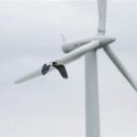 Trump Faces Backlash After Using Incorrect Photo, Bird in Wind Turbine Criticism OIP 4